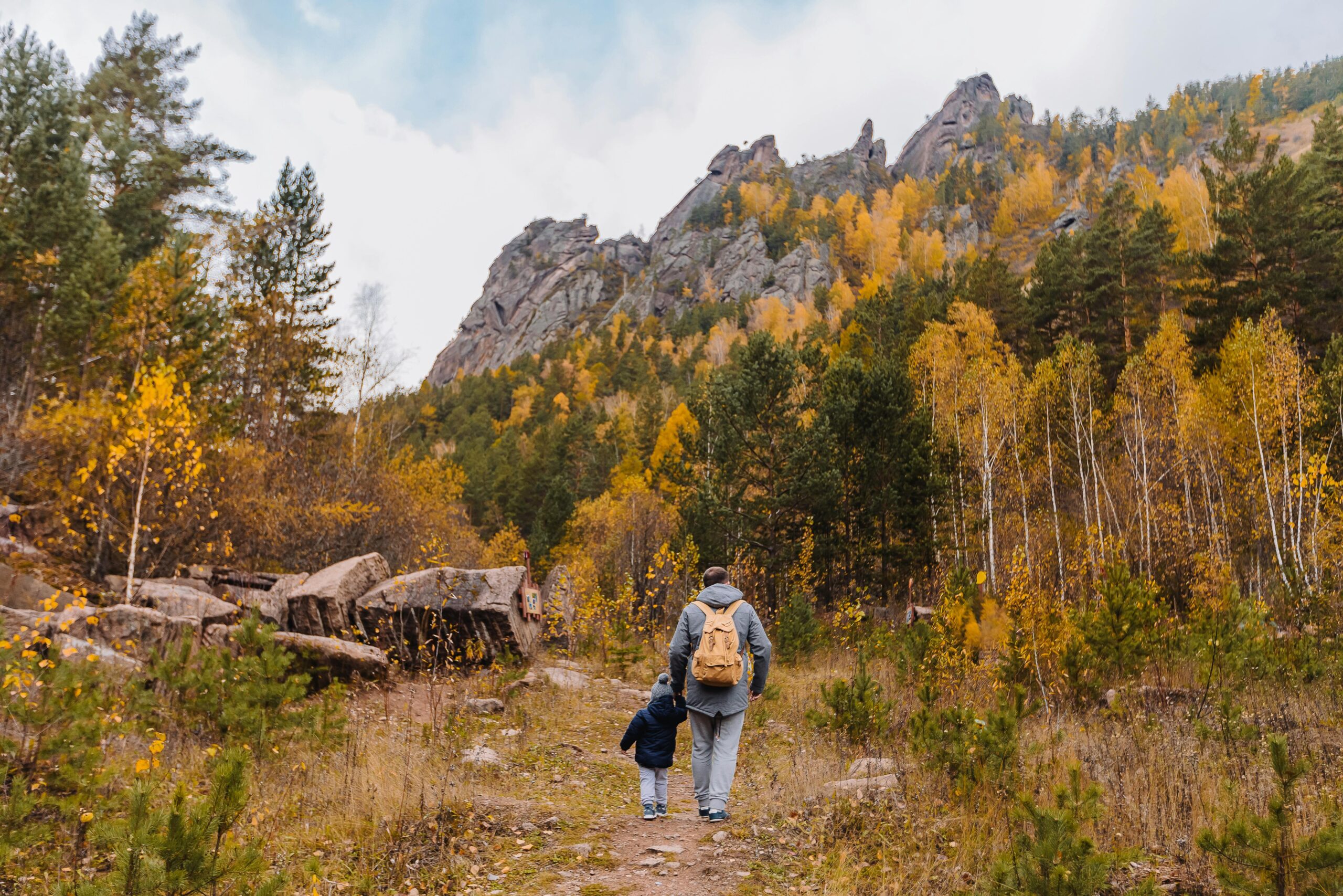 self discovery online course for adults