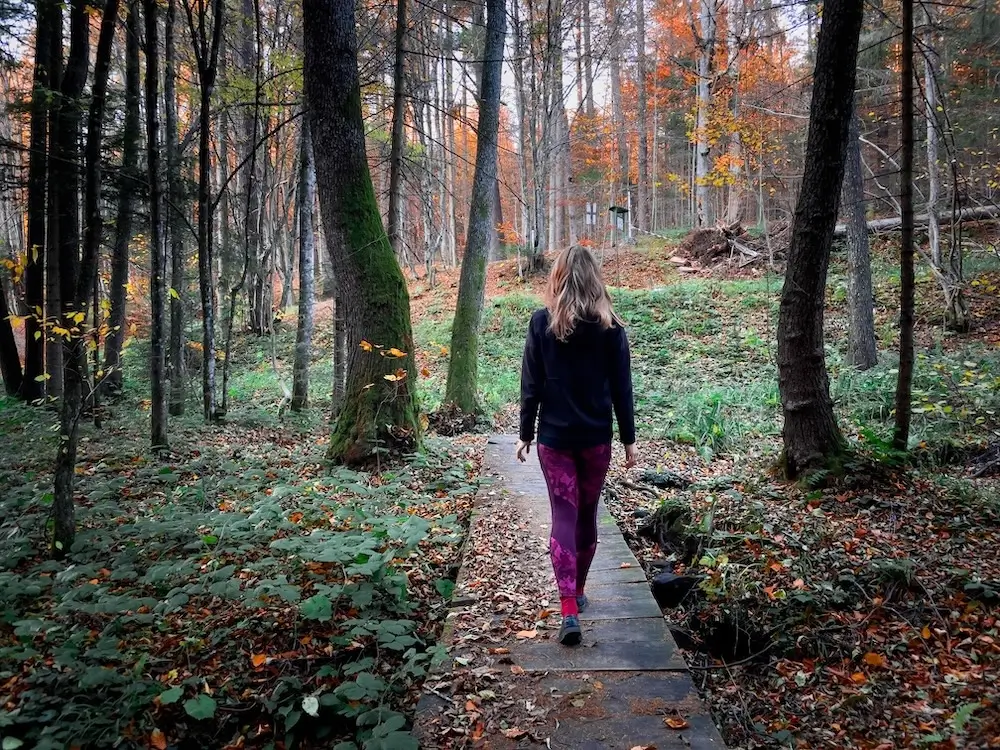 narrative therapy training course