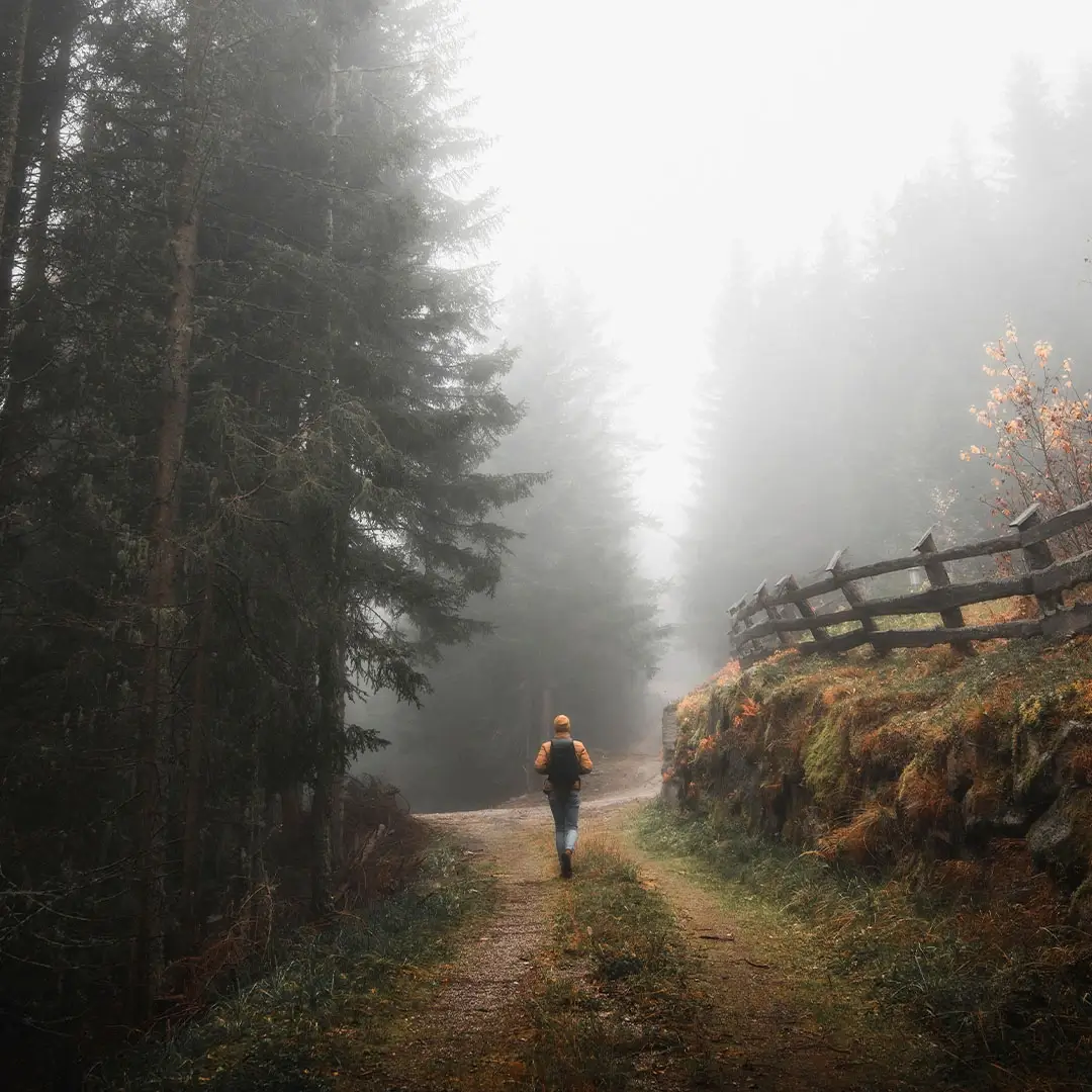 self discovery online program & courses narrative therapy